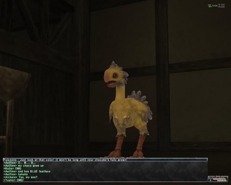 chocoteen2.jpg