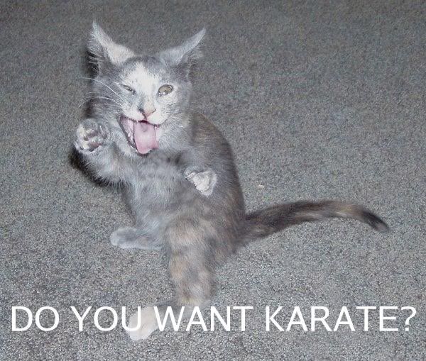 Karate.jpg