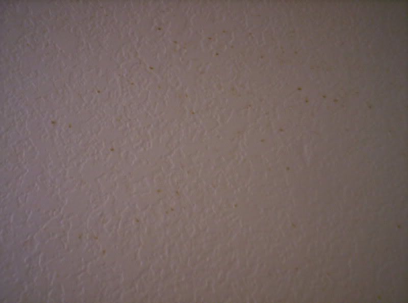 bathroom008.jpg
