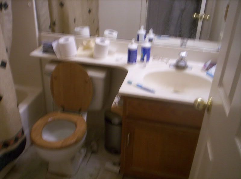 bathroom001.jpg