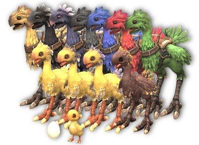 chocobo11.jpg