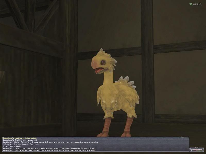 PendragonDandyJv.jpg