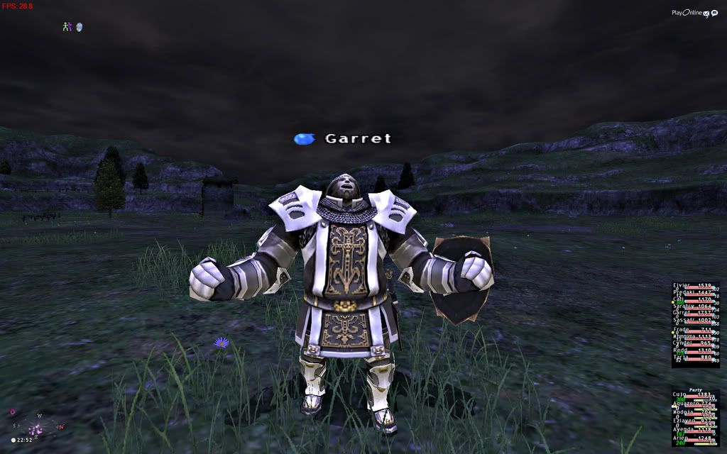 Gar_large2.jpg