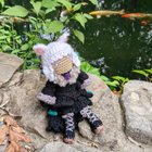 I took yarn'shtola to visit a koi pond!