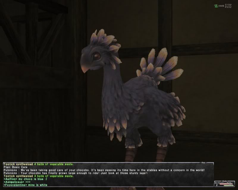 chocogrown.jpg