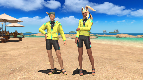 54492cb70a.png