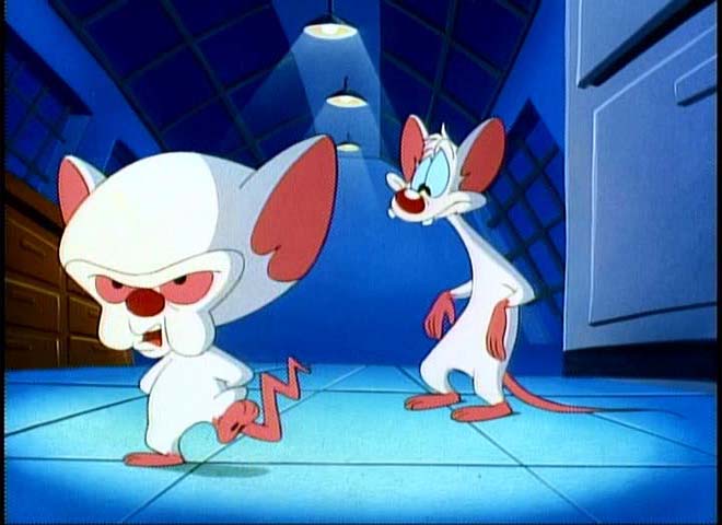 pinky&brain1.jpg