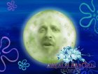 Final Sponge XIV