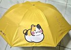 So I made this Fat Cat foldable umbrella and my cat Hythlo thinks it's his beach umbrella