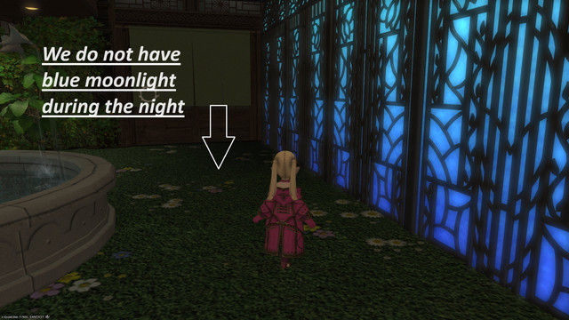moonlight.jpg