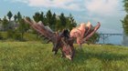 At long last, I have the Rathalos mount!