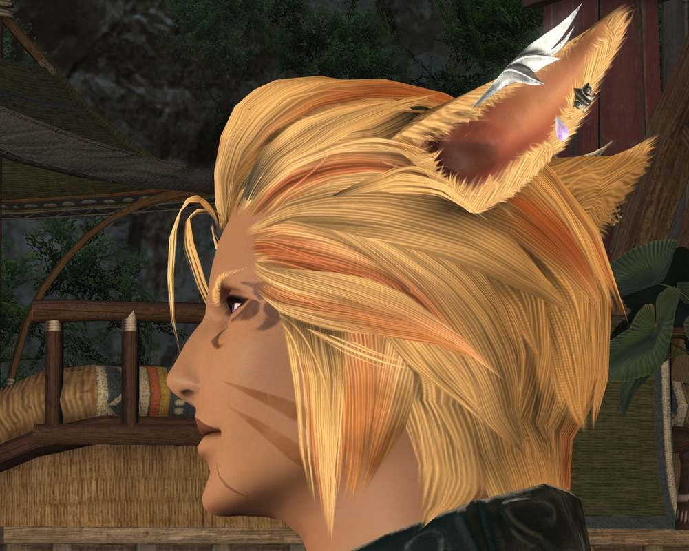 hairthing2.png