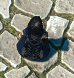 a4ddf21166c604e1054e0c5147e600ce265c2e0f.png