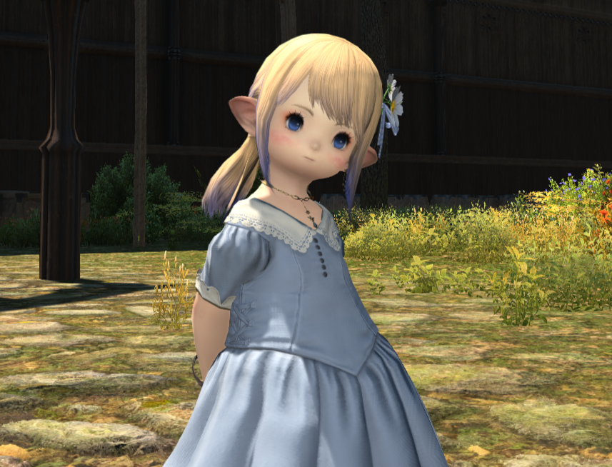 e6c68543e1b779eb1dc24b1217a676fe5eb680c4.png