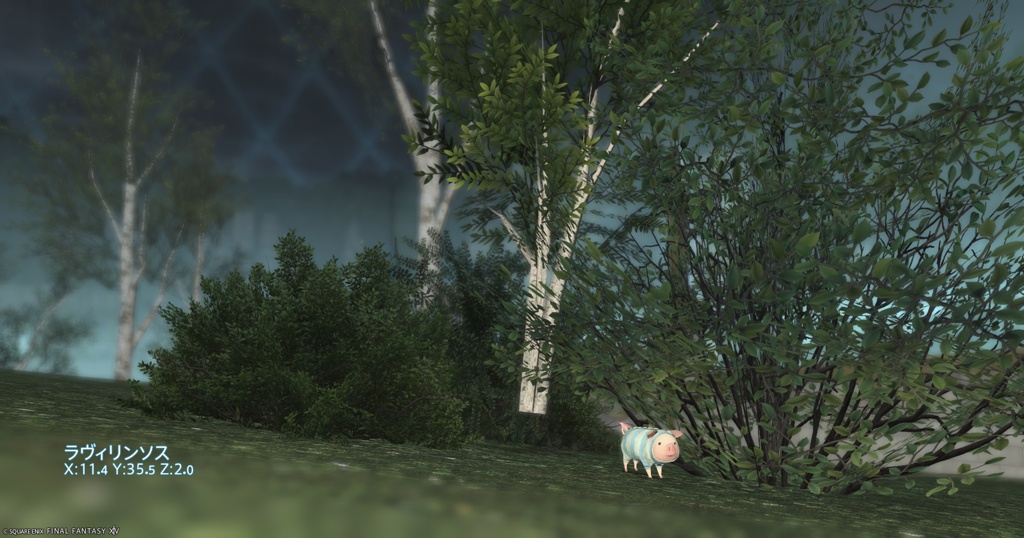 d11acc3d630dea401ce0bd191744d6a1fa94b4e8.jpg
