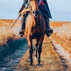 My Haurchefant Greystone Cosplay