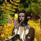 This Duskie girl just got to Ishgard! After leveling AST to 50 and finishing all the yellow ARR sidequests , it's time to actually play the expac!