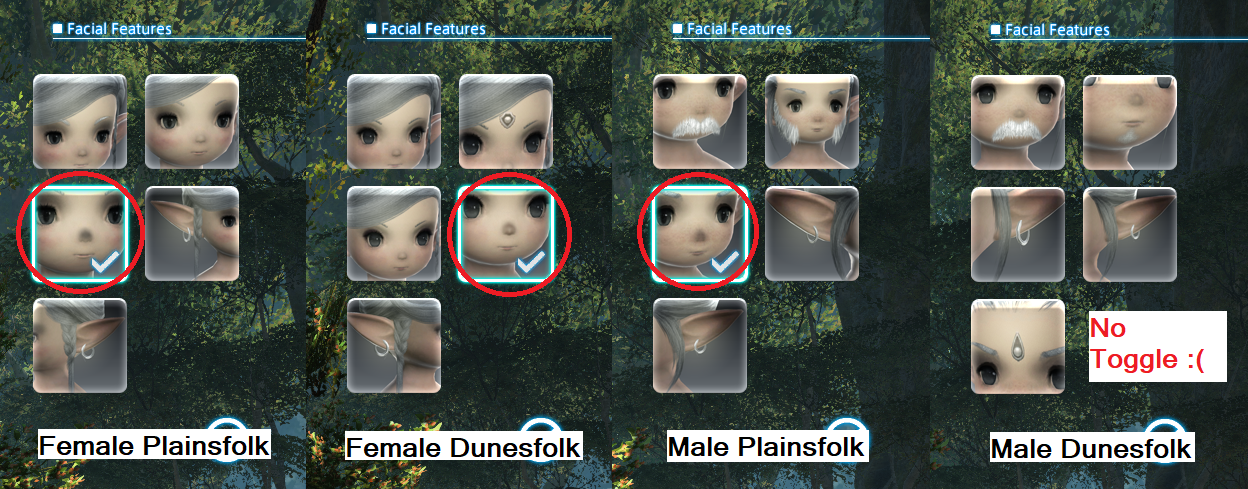 box%20options.png