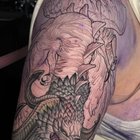 First session done on my Hraesvelgr tattoo by Mutated Sushi/Rachael Nelson